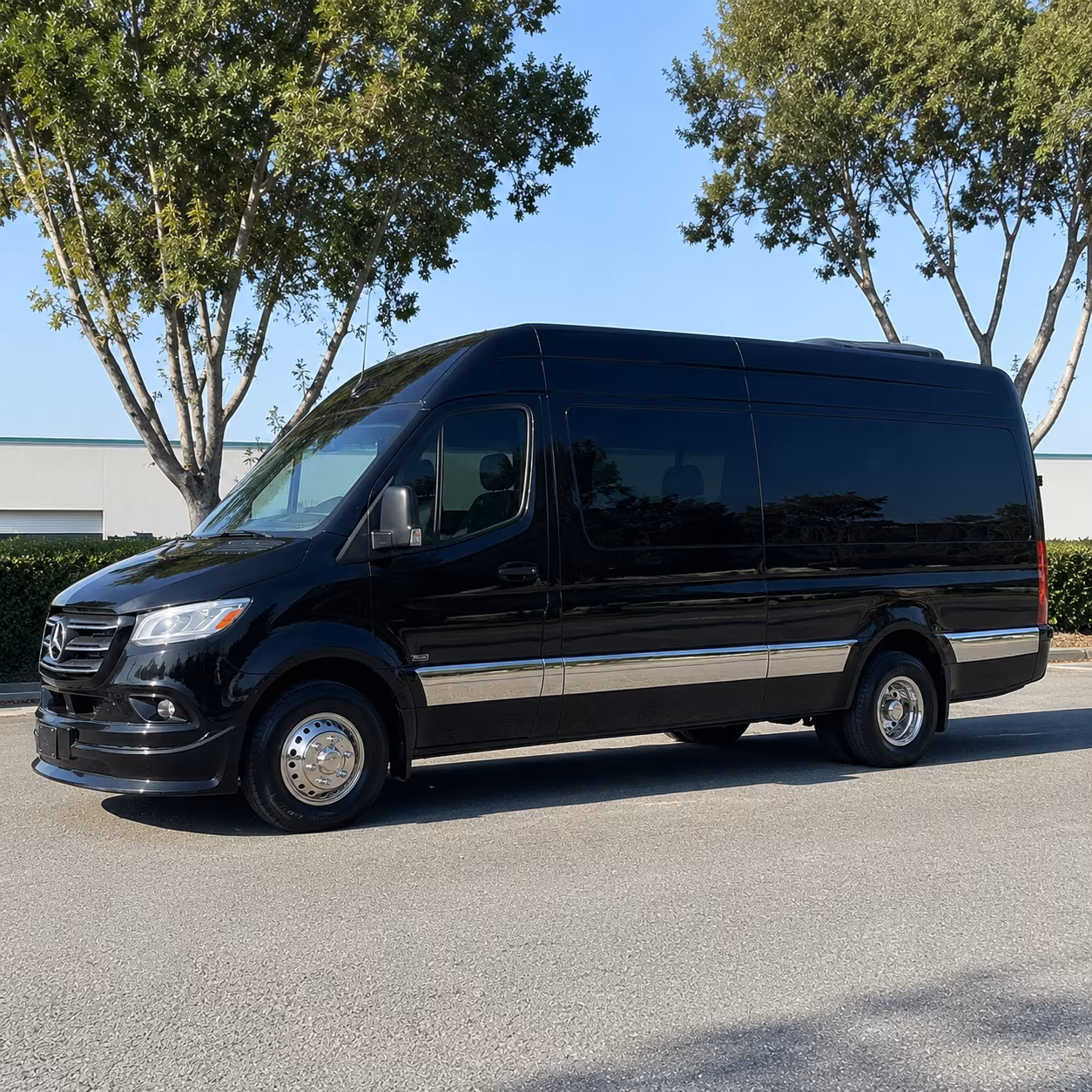 jackson 15 passenger sprinter van