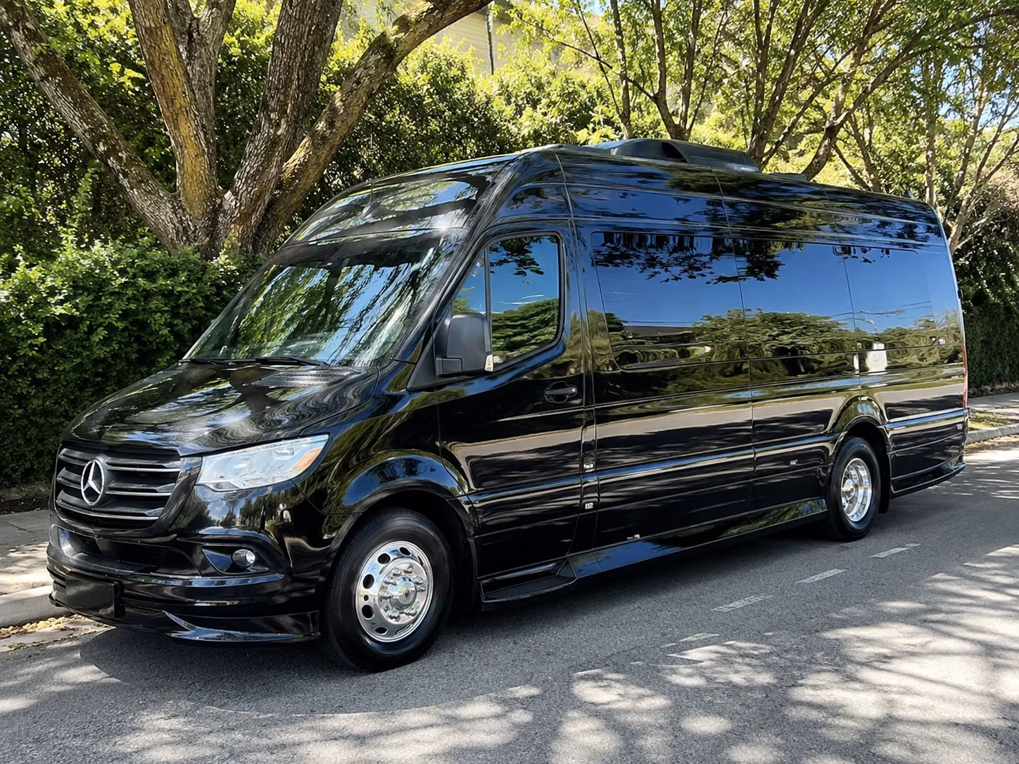 Jackson Birthday Transportation